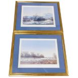 After N Mace. The Frozen Pond and Mallards in the Flood, artist signed limited edition prints,