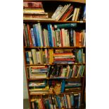 A large quantity of general books, to include novels, children's books, etc.