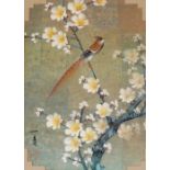 A Japanese woodblock print of an Asian pheasant on a branch of flowering prunus, signed, 20thC, 45cm
