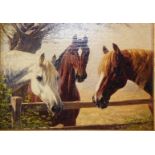 English School (20thC). Study of three horses in a field, oil on canvas, 18.5cm high, 25cm wide.