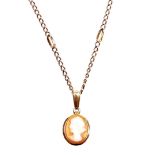 A cameo pendant and chain, the small cameo, in a 9ct gold frame, 1cm x 1cm, on a fancy link yellow m