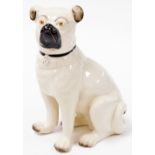 A Staffordshire type figure of a seated pug, 28cm high.