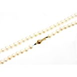 A freshwater pearl beaded necklace, with a 9ct gold ball clasp, 60cm long overall, 28g all in, boxed