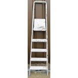 A four tier aluminium step ladder.