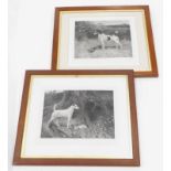 After Arthur Wardell. Jack Russells, monochrome prints, in contemporary oak frames, plate size