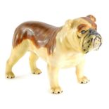 A Beswick model of a Bulldog, Champion Baseford British Mascot, 20cm long.