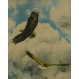 After Bruno Liljefors (1860-1939). Flying Eagle, coloured print, 56cm x 46cm.