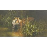 David Shepherd (1931-2017). Into the Sunlight there came a Tiger, artist signed limited edition colo