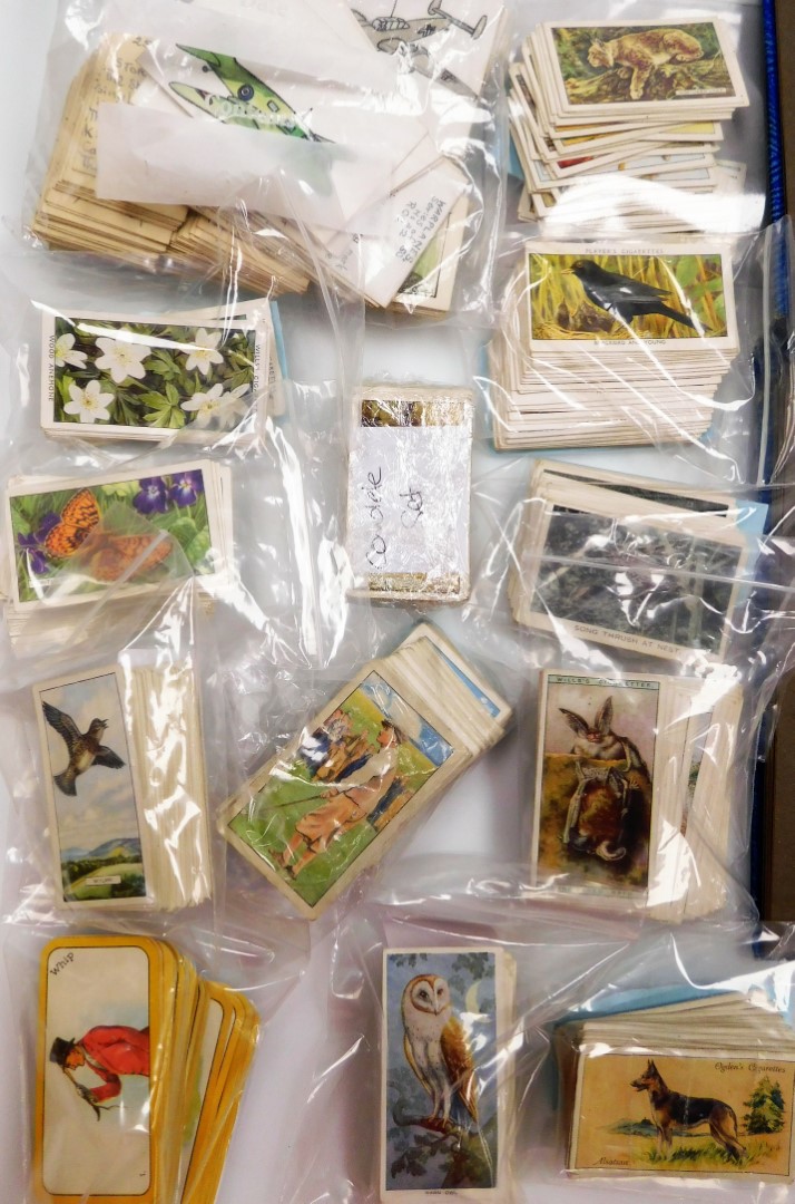 Various cigarette, tea and trade cards, to include Wills cigarette cards, The Black Cat Greyhound ra - Image 2 of 4
