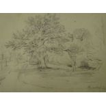 Thomas Sidney Cooper RA (1803-1902). Study of trees bordering a lane, pencil on paper, 19cm x 25cm.