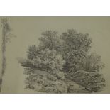 Thomas Sidney Cooper RA (1803-1902). A track leading through trees, pencil sketch, 14cm x 20cm. A le