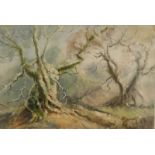 Beatrix Mary Blyth (1903-1986). Woodland scene, watercolour, 35.5cm x 55cm.