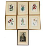 A group of framed book plates, to include a set of five framed flower book plates, each in modern gi