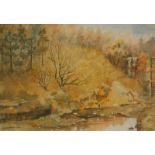 J.E. Hodgkin. Hadhope Burn Dryderdale, watercolour, signed and titled, 36cm x 52cm.