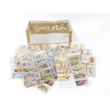 A group of tea and trade cards, to include Sun soccer cards, wildlife, trains, etc. (2 boxes)