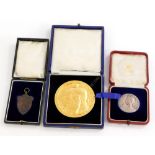 An International Braxelles gilt medallion, cased, Prince of Wales investiture Rifle medallion and a