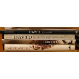 Art related books, Michelangelo , Hibbard (Howard), Painter, Sculptor, Architect, David by the Hand