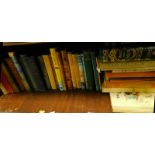 A quantity of children's books, to include Girls Own Annual 1889, Dragons by Nesbitt (E). (1 shelf)