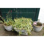 A square concrete flower pot on stand, containing ivy, 40cm high, 52cm wide, and a pair of concrete