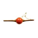 A 9ct gold coral set bar brooch, the large circular coral cabochon in a claw setting, 1.6mm wide, 9.