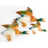 A graduated set of three Beswick flying ducks, the largest 26cm long.