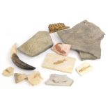 Various miscellaneous fossils, to include two fossilized fish, a reproduction fossil lizard etc.