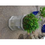 A chimney pot planter, of octagonal form, containing a shrub 42cm high.