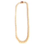 A 9ct gold cultured pearl single strand necklace, with a 9ct gold oval clasp surrounded by seed pear