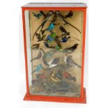 A Victorian taxidermied display of various tropical and UK birds, on perched branch in a painted re
