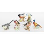 A group of Beswick birds, to include a pheasant, a bullfinch 1042, blue tit 992, chaffinch 991, gold