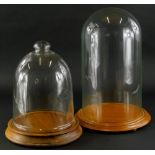 A glass dome, on turned hardwood base, 46cm high overall, and another dome on turned elm base, 34cm