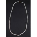 An Akoya cultured pearl necklace, on a yellow metal hook clasp, stamped 14K, each pearl approx 6.5 m