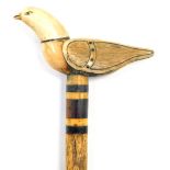 A 19thC walking cane, with a marine ivory handle carved as a dove of peace, mounted on a slim whale