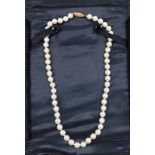 A cultured pearl necklace, on a yellow metal hook clasp, stamped 14K, each pearl approx 7mm diameter