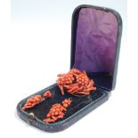 A Victorian coral brooch and matching earrings, of grape and vine form, boxed.