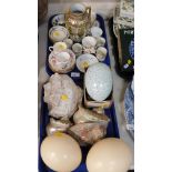 Two ostrich eggs, various shells, etc. (1 tray)