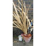 A group of garden wares, to include a terracotta pot with reeds, umbrellas, hiking stick, walking st