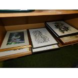 Various pictures and prints, to include prints of birds, a print after Russell Flint, pencil sketche