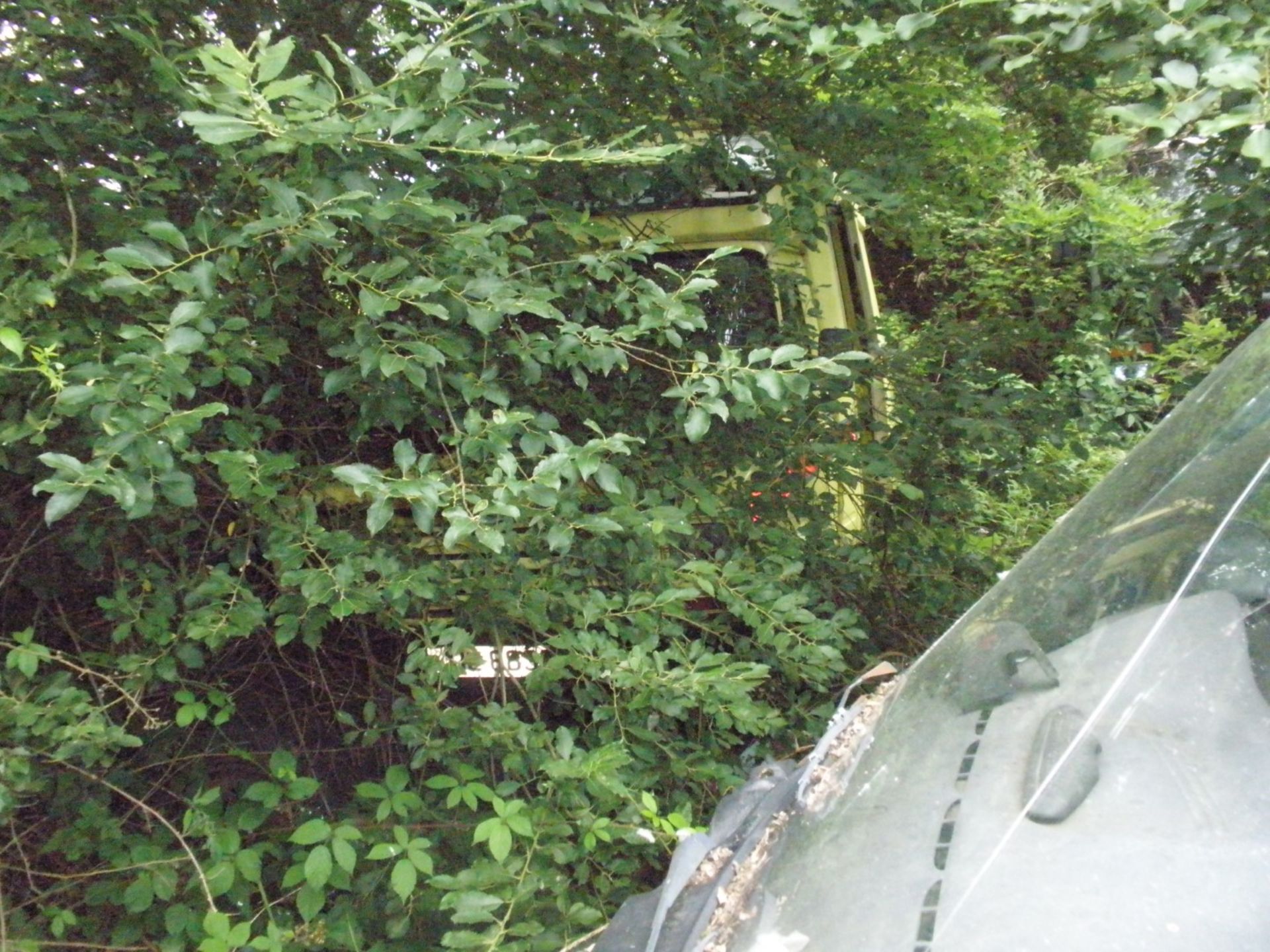 The Residual Scrap Vehicles on site together with other scrap hidden in the undergrowth. To include - Image 5 of 10