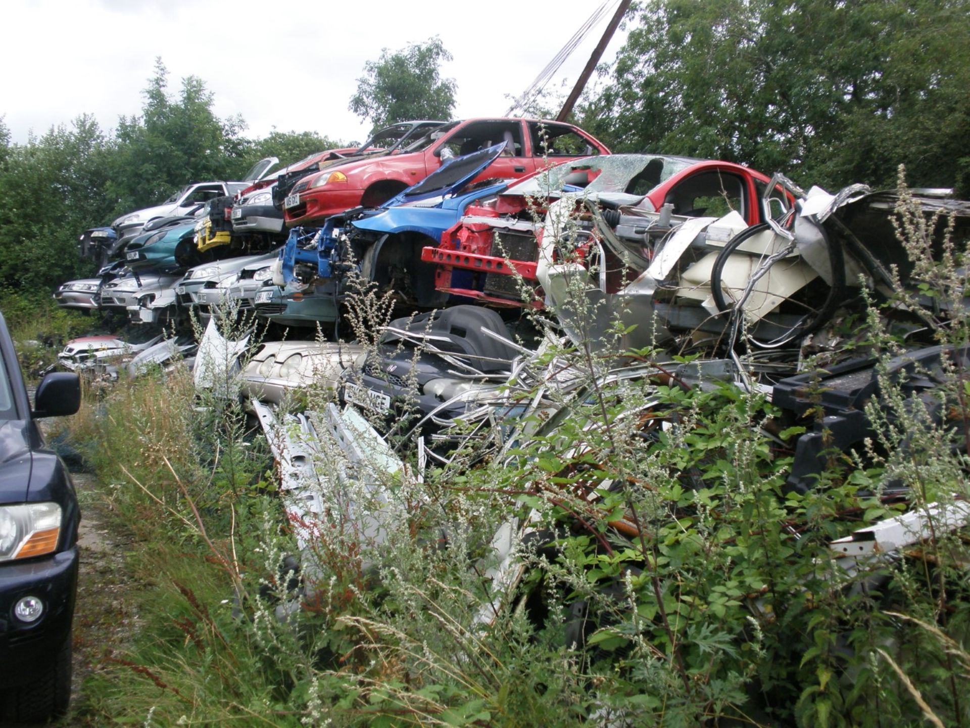 The Residual Scrap Vehicles on site together with other scrap hidden in the undergrowth. To include - Image 2 of 10