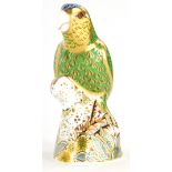 A Royal Crown Derby porcelain paperweight of an Amazon Green Parrot, special edition number 153 of 2