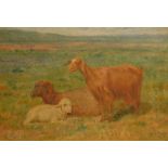 James Lewis Shonborn (1852-1941). Goat and sheep in landscape, oil on canvas, signed and dated Janvi