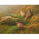Neil Cox (b.1955). Pheasants foraging in bracken, oil on canvas, signed, 59.5cm x 75cm. Provenance: