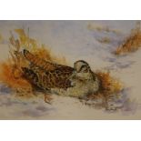 Ian Bowles (b.1947). A Woodcock nesting in the snow, watercolour, signed, 24cm x 34cm. Provenance: B