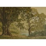 Alic Bramwell (20thC). The Glade, Beck Woods, artist signed and titled coloured etchings - pair, 23c