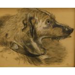 C.E.S. Study of a lurcher(?), drawing with highlight, initialled and dated 1922, 19cm x 24cm.