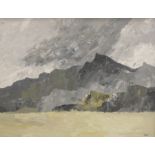 Kyffin Williams (1918-2006). Patagonian Coast, oil on board, initialled and titled verso, 43cm x 57c