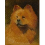 Faith Kenworthy-Browne (1882-1973). Chung - (dog study), pastel, signed, 43cm x 33cm.