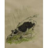 Kyffin Williams (1918-2006). Sheep dog, watercolour, initialled, 53cm x 41.5cm.