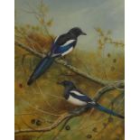 Philip Rickman *1891-1982). Magpies on a branch, watercolour, singed and dated 1978, 40cm x 30cm. Pr